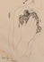 products/GM01-154.jpg